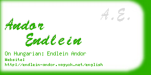 andor endlein business card